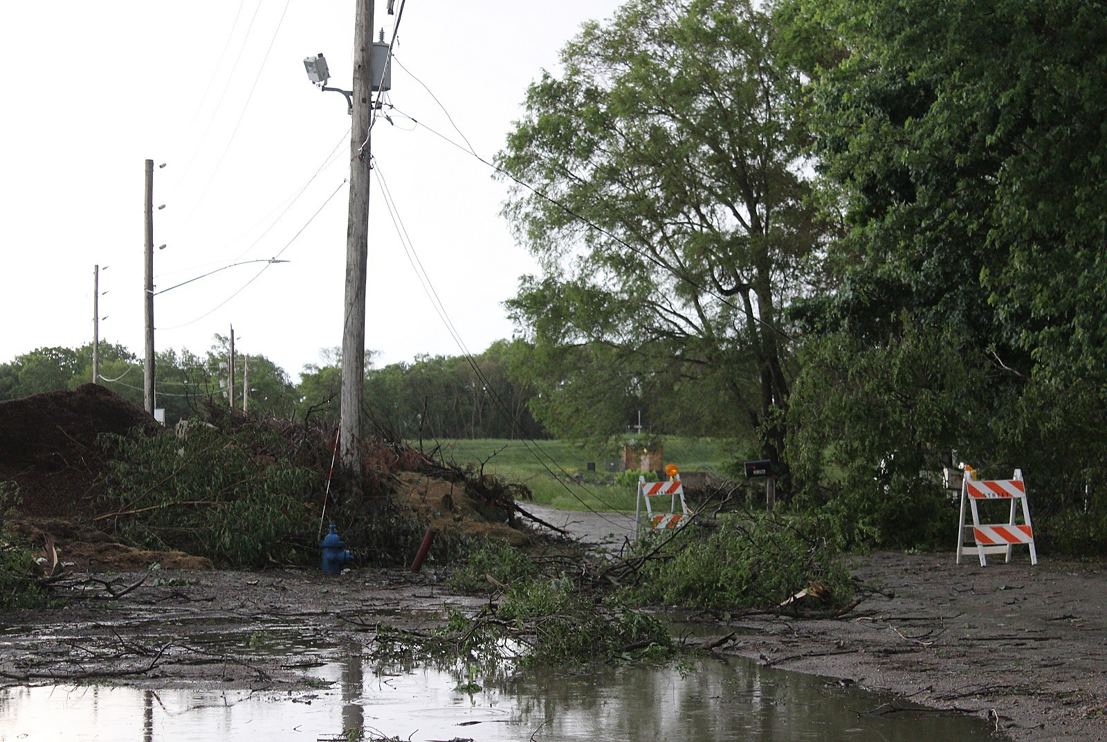 Storms Damage Trees Cause Power Outage In Waterloo Waterloo Journal   Waterloo Storm Damage 1 060420 